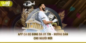 App Cá Độ Bóng Đá Uy Tín – Hướng Dẫn Cho Người Mới