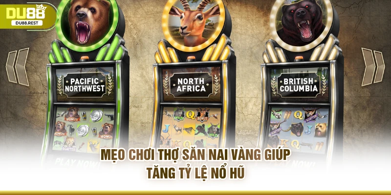 Mẹo chơi thợ săn nai vàng giúp tăng tỷ lệ nổ hũ